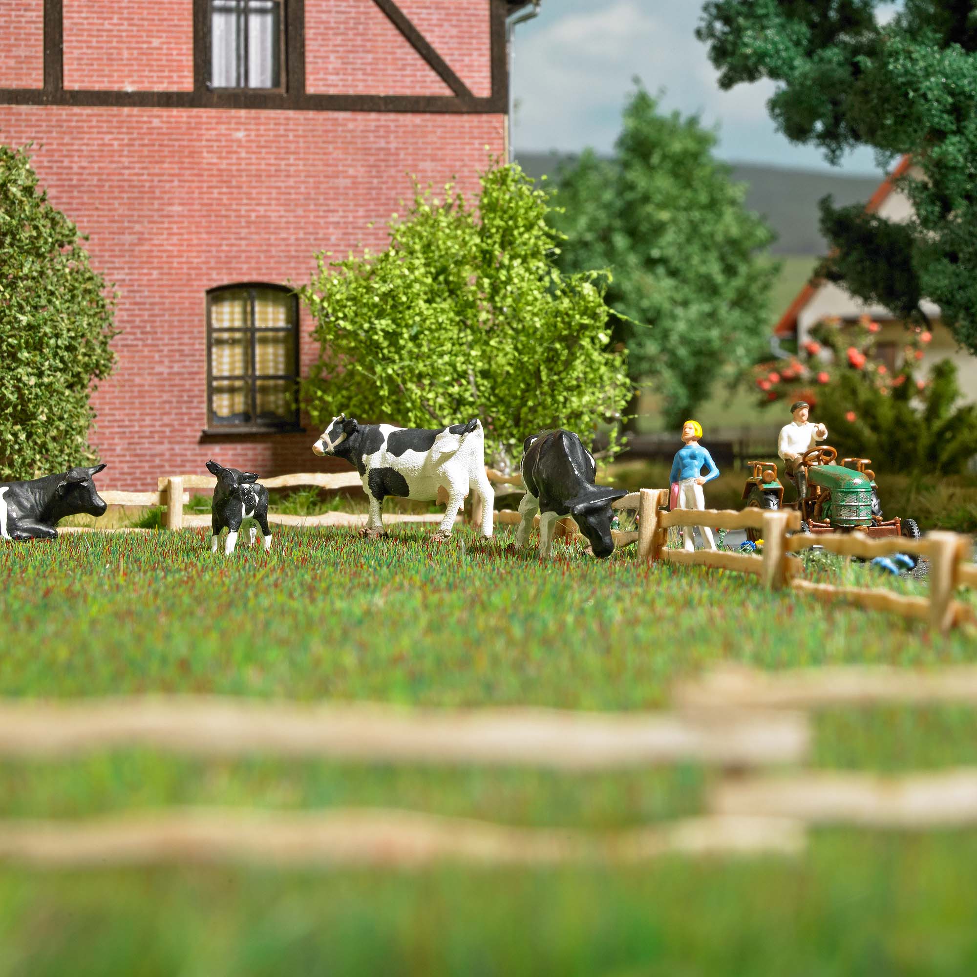 Koppelzaun mit Pfosten und Brettern aus Holz Koppelzaun mit Pfosten und Brettern aus Holz